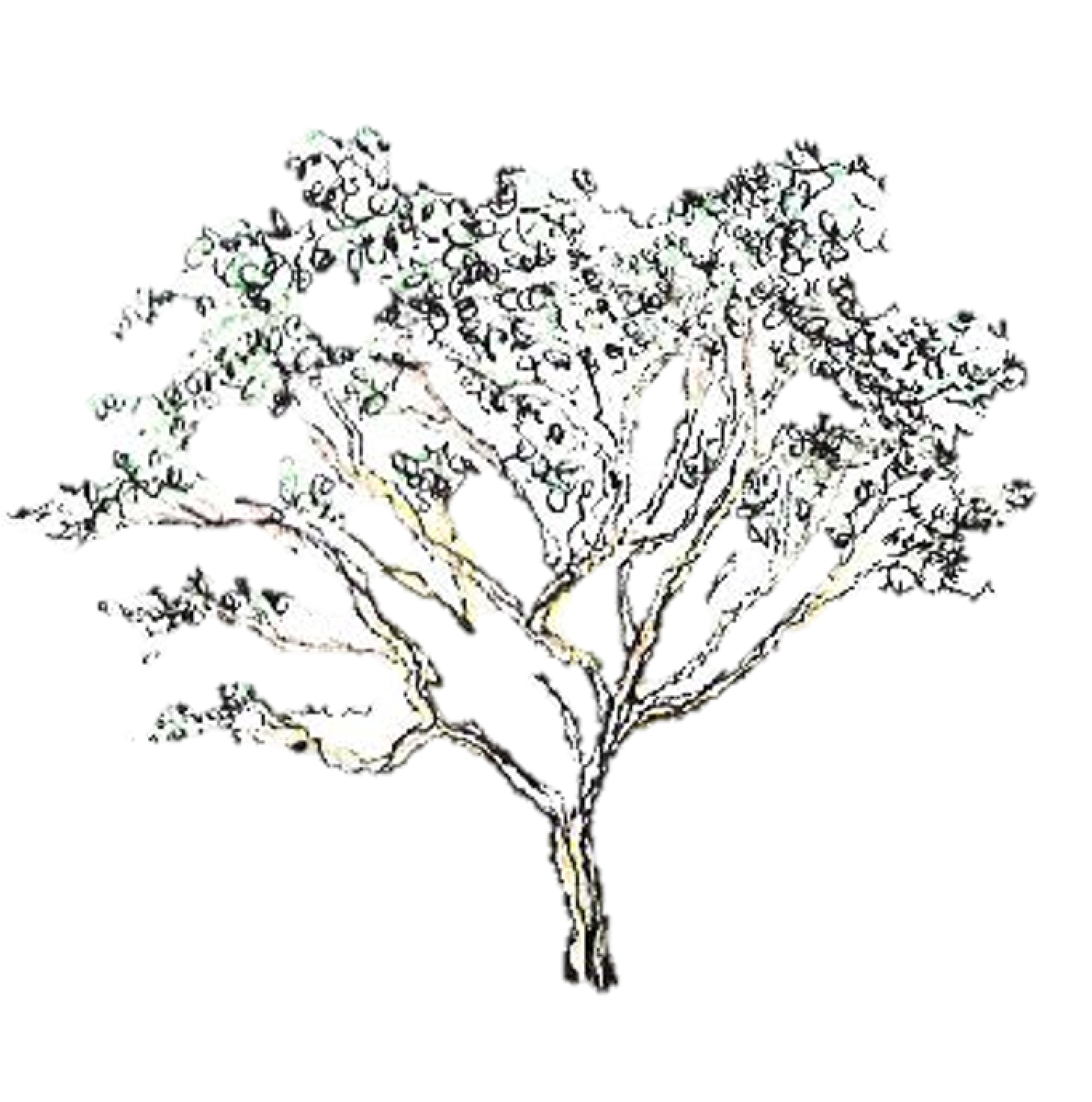 Apps, maps and snippets