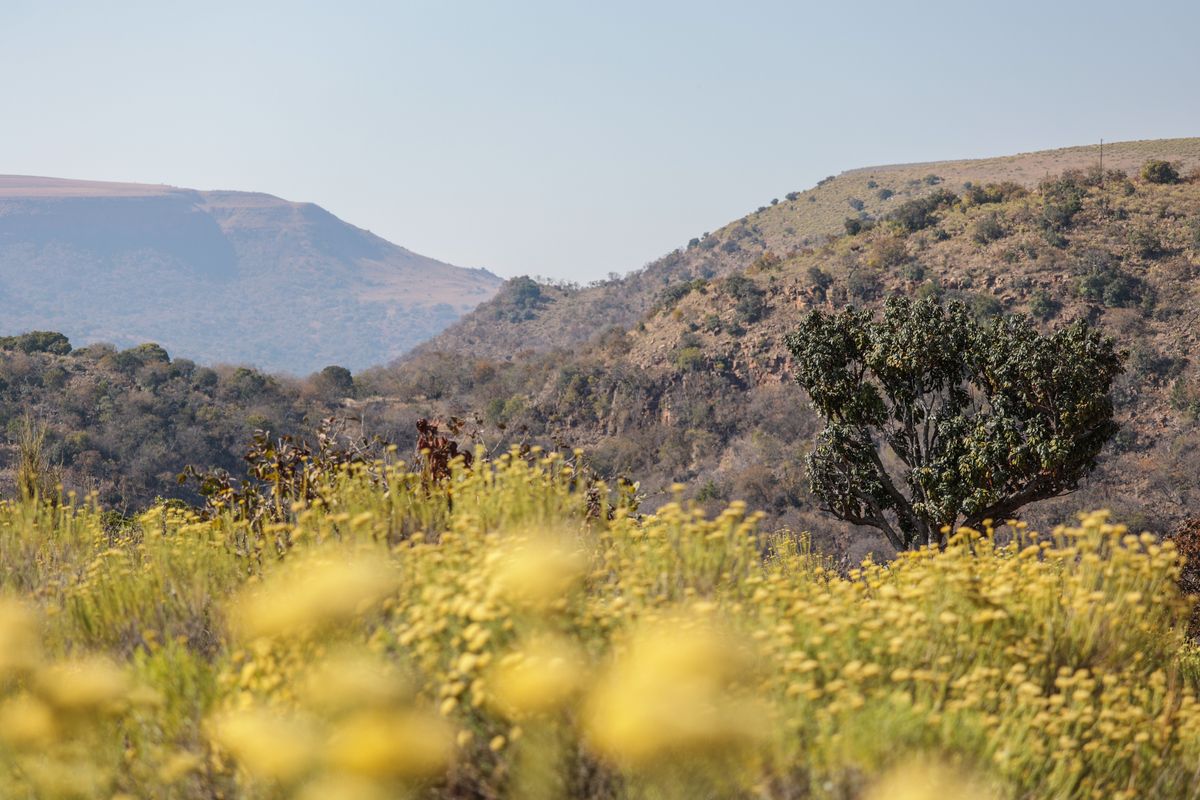 Social-ecological systems and complexity