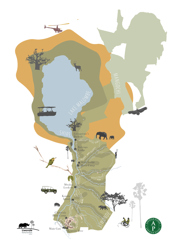 Beautiful and accurate maps